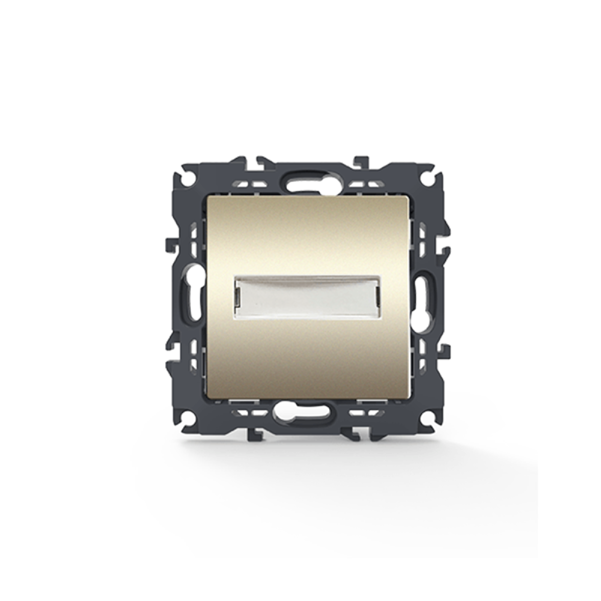 ACA PRIME ΜΠΟΥΤΟΝ ΕΠΙΓΡΑΦΗΣ & LED ΛΥΧΝΙΑ (12VAC) ΜΕ ΚΛΙΠ 1P 10A 250VAC IP20 MAT ΣΑΜΠΑΝΙΖΕ